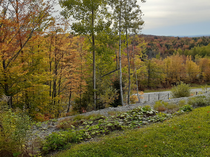 Eastern Townships Trip Farnham Mountains